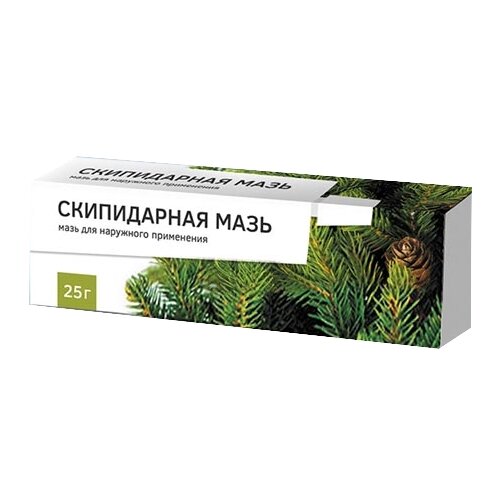 ���� ����������� ����, 25 � ������ ������