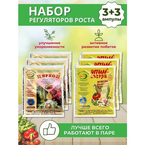 ���� ����� ����������� ����� ������+����-������ , �������� 6 �� �� 1 �� ������ ������