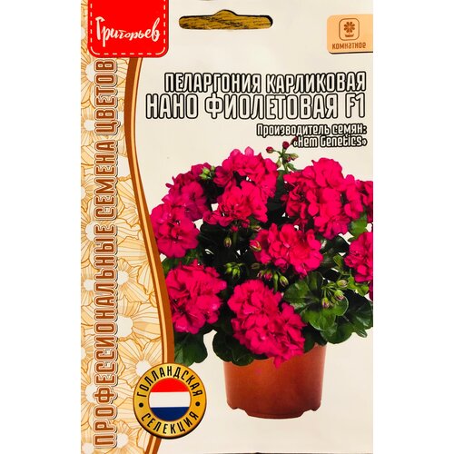 ���� ������ ���������� ���������� 