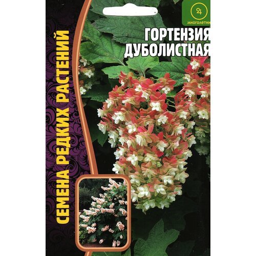 ���� ��������� �����������, ����������� ( 1 ��: 20 ����� ) ������ ������