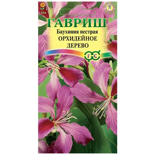 ���� ������. �������� 