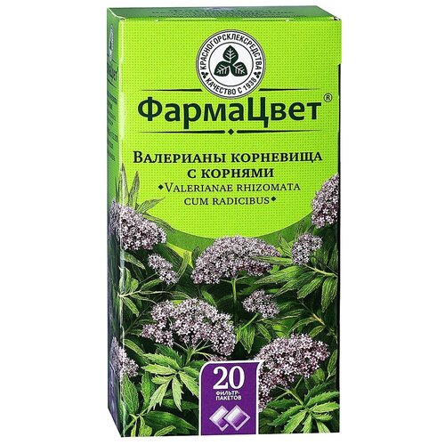 ���� ���������������������� ����� � ��������� ��������� ��������� �/�, 1.5 �, 20 ��. ������ ������