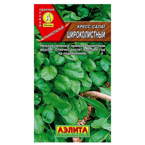 ���� ������ ��������� ������ �����-����� ������������� 1 � ������ ������