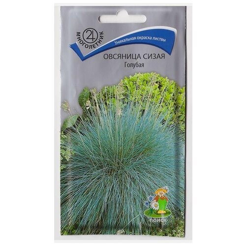 ���� �������� ����� ������� (0,1 �), 2 ������ ������ ������