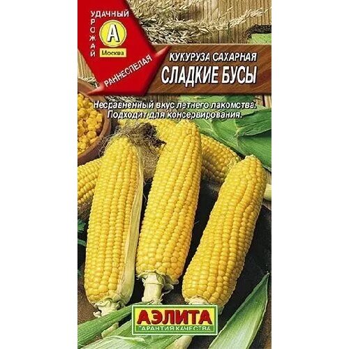 ���� �������� ������� ����, ������ ������ 7� ������ ������