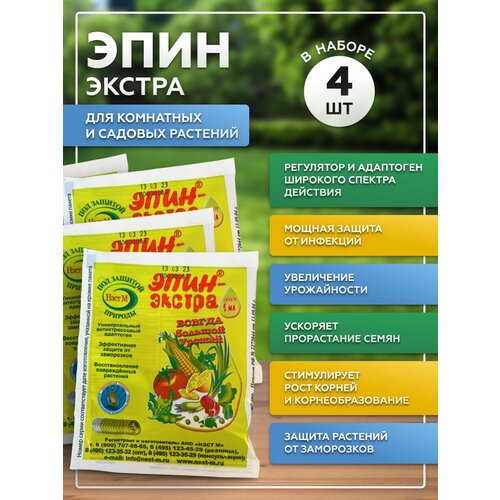 ���� ���� ������ 1�� ���������� ��� �������� , ����� 4�� ������ ������