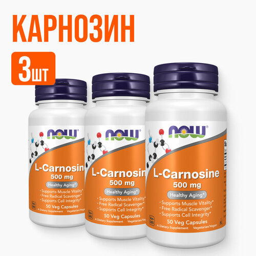 ���� NOW L-�������� 50 ������, 3 �������� ������ ������