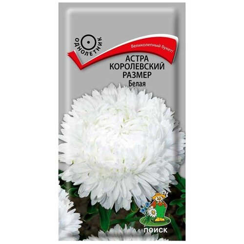 ���� ����� ����������� ������ ����� ������ ������