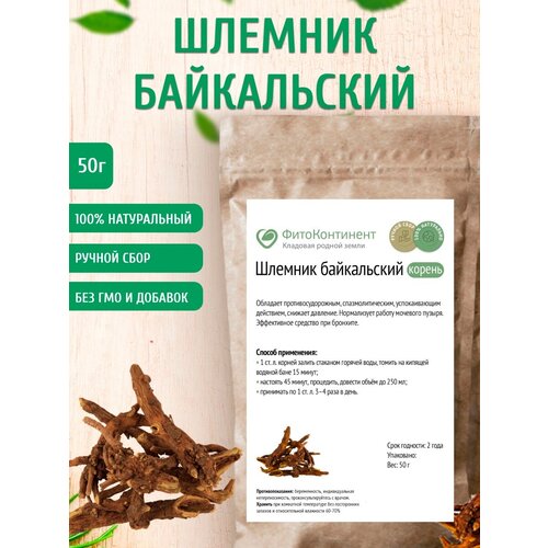 ���� ������� ����������� (������), 50 �� ������ ������