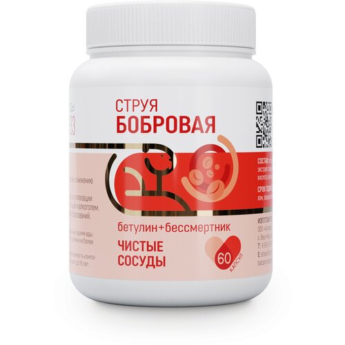 ���� ��������� �33 