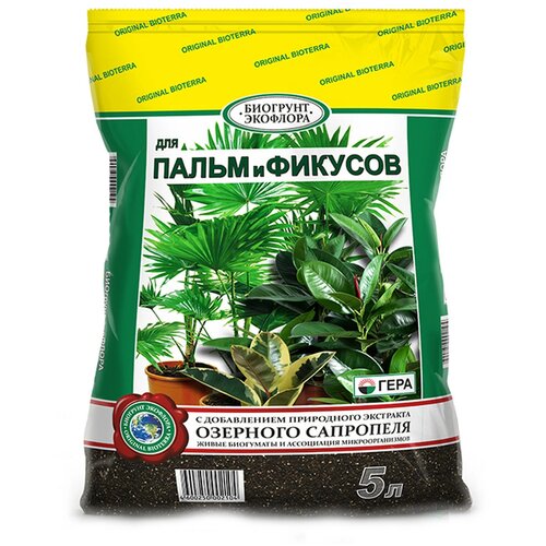 ���� �������� ���� ��� ����� � �������, 5 �, 1.3 �� ������ ������