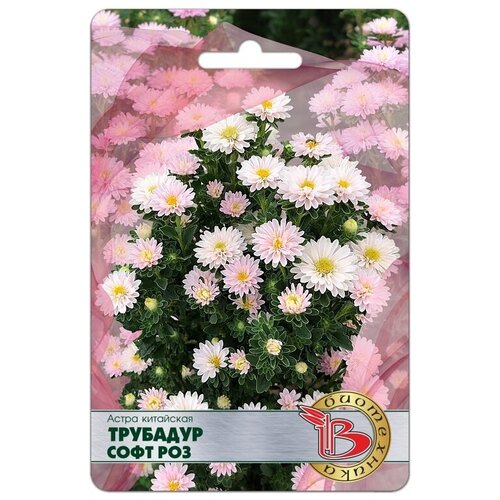 ���� ����� �������� ���� ��� ������ ������