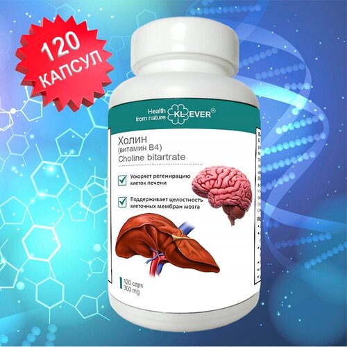 ���� ����� (������� �4). 120 ������. ��� ������ / ������� / ��� ����� ������ ������