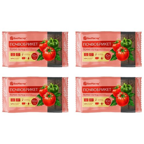 ���� ����������� ��������� ����� � ����� �������, 10 �, 0.8 ��, 4 ��. ������ ������