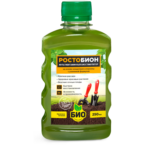 ���� ��������� ���-�������� ���������, 0.25 �, 260 �, 1 ��. ������ ������