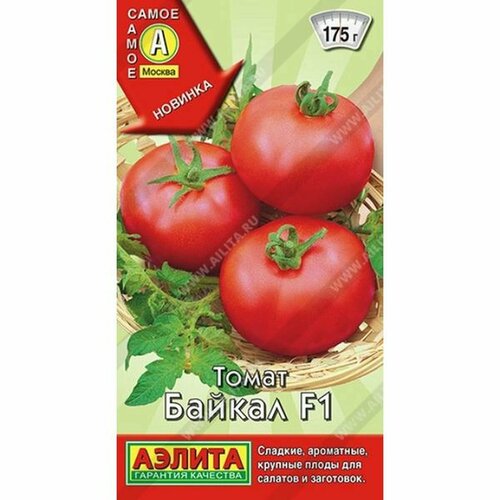 ���� ������ ����� ������ F1, ������������, ������������, (������) 20�� ����� ����� ������ ������