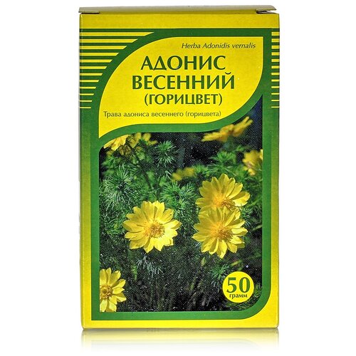 ���� ����� ����� ������ ��������, 50 � ������ ������