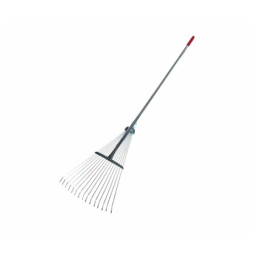 ���� ������ ������� ������� 15-����� ����������� � �������� ���������� ����� �������� `��������� �����` ������ ������