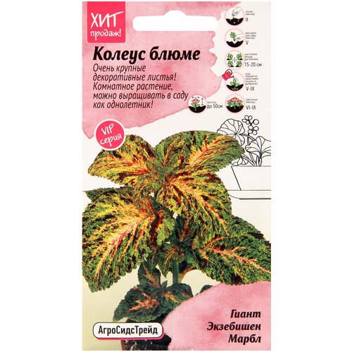 ���� ������ ������ ����� ����� ��������� ����� 10 ��, ��������� ����������� ����� ��� ������� � �����������, ���������� ��� ����, ��������� ��� ������� ������ ������