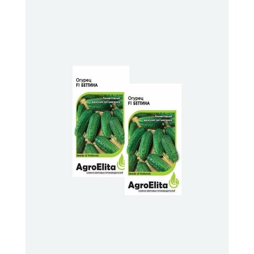     F1, 5, AgroElita, Nunhems(2 )   -     , -, 