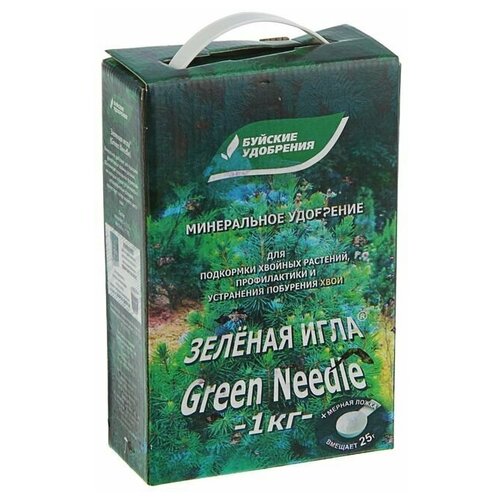 ���� ��������� ����������� 