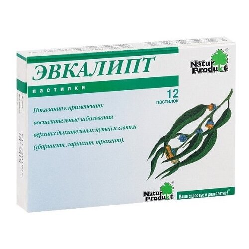 ���� �������� ����� ������� ��������, 12 ��. ������ ������