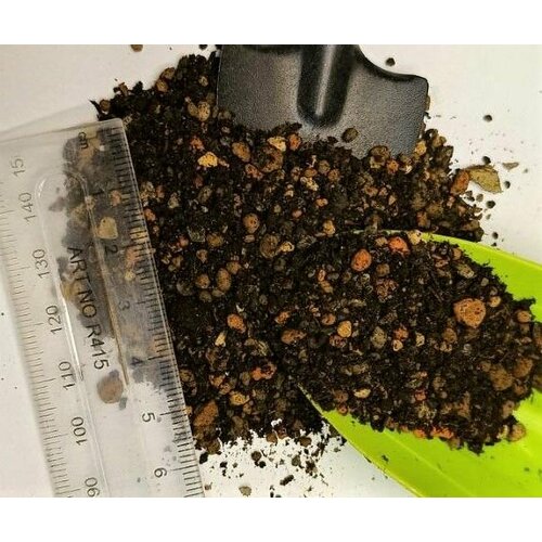 ���� �������� 