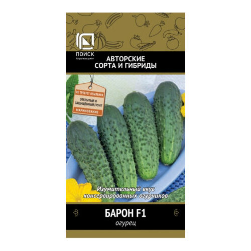 ���� ������ ������ ����� F1 12�� ������������������ ������ (�����) ����� ������ ������