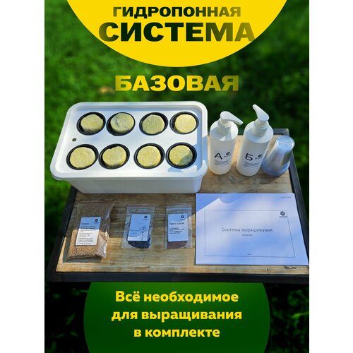 ���� ������� ����������� ������ �������, ���������� ������� �����, ����������� ������ ������