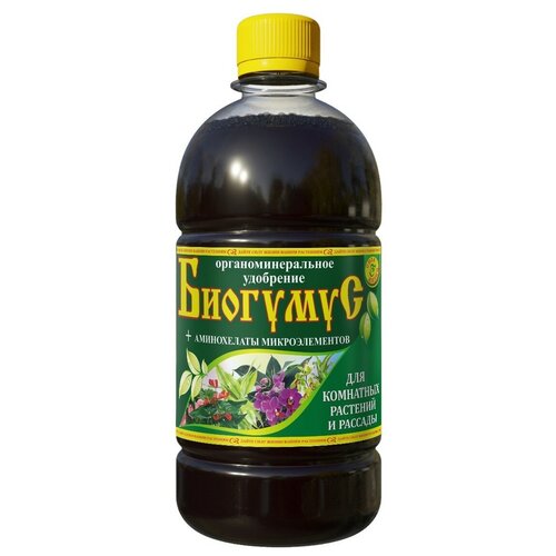 ���� ��������� ���� ����� �������� ��� ��������� �������� � �������, 1 �, 1 ��. ������ ������