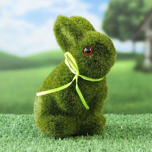 ���� ������ 