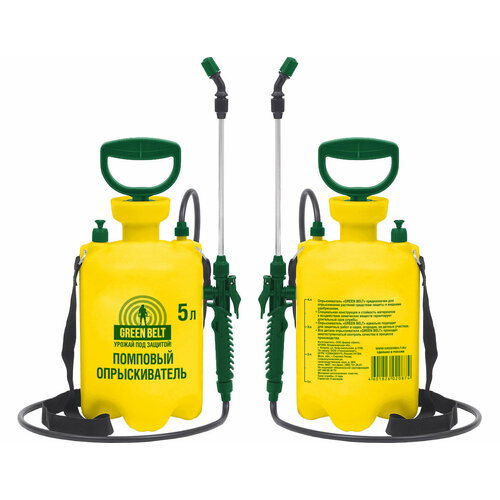 ���� �������� ������������� 5� ������ ������