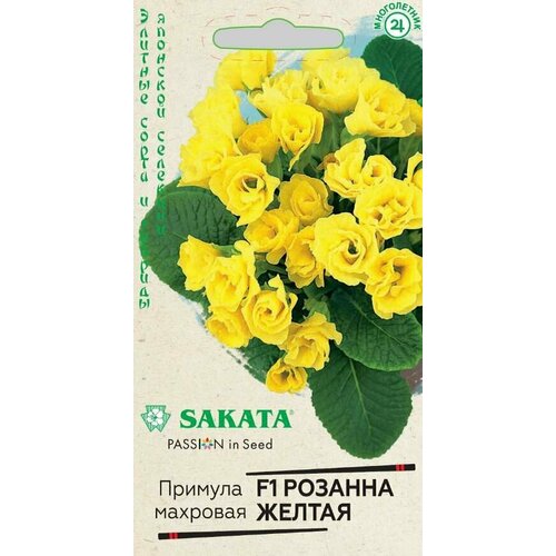 ���� ������� ������� ������ F1 4�� ������ ������ ������