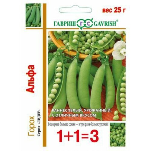 ���� ������ ����� ����� ��������� 25� ������ (������) 1+1 ������ ������