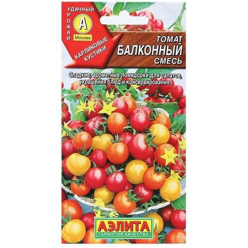 ���� ������ ����� ��������� ����� 20�� ��� ������ (������) ������ ������