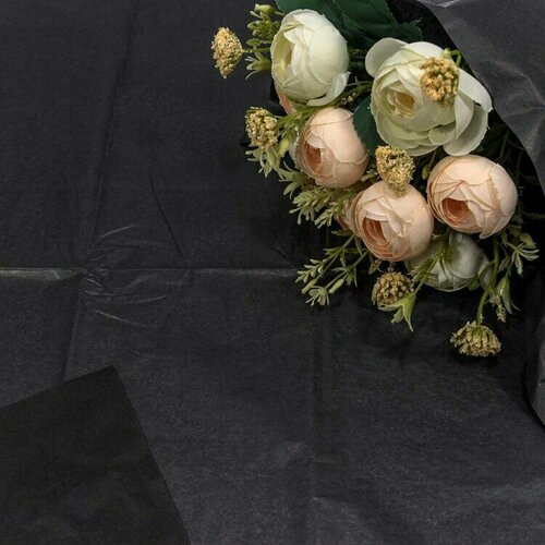 ���� ����������� ������, ����� (0,5*0,65 �) ������, 10 ��. ������ ������