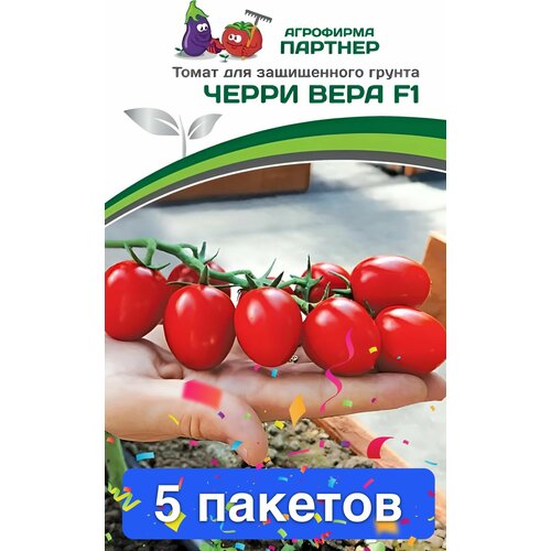 ���� ������ ������ ��������� ������� 