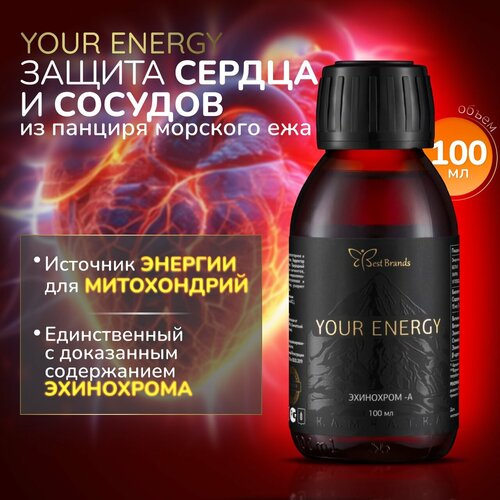    100 . (YOUR ENERGY).       ,   .  