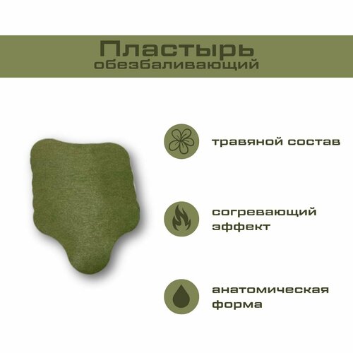 ���� �������� ��������������, �������������, �����������������, ���������������������, �����������, 10 ��������� ������ ������