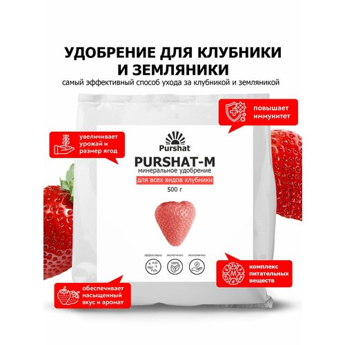 ���� ��������� ��� �������� � ���������, ��������� ��� �������� ������-� ��������������� 500 �� ������ ������