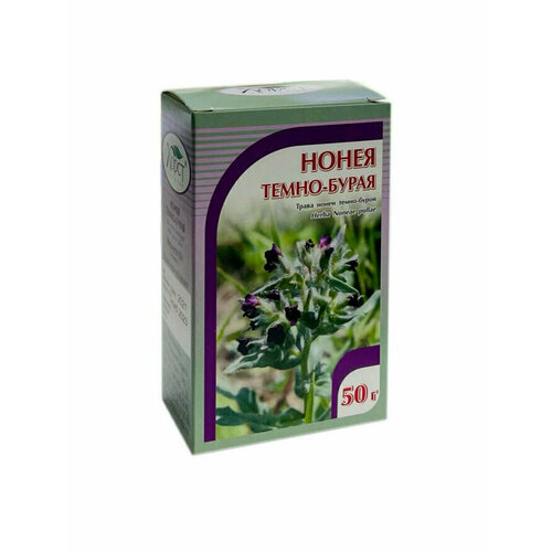 ���� ����� �����-����� ����� (50 �) ������ ������