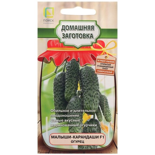 ���� ������ ����� �������� ��������� ������ ������-��������� F1 12 ��. ������ ������