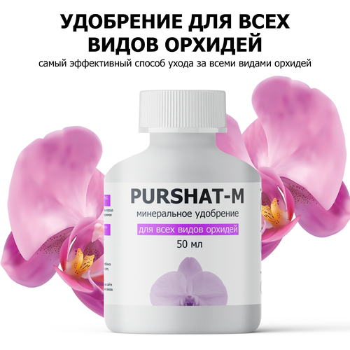    ,    ,      (Purshat) 50    -     , -, 