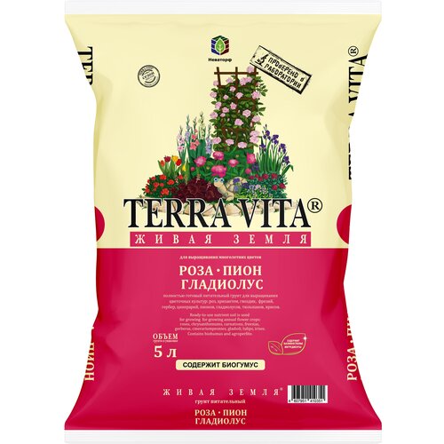 ���� ����� ����� ����-����-���������, 5 � ������ ������