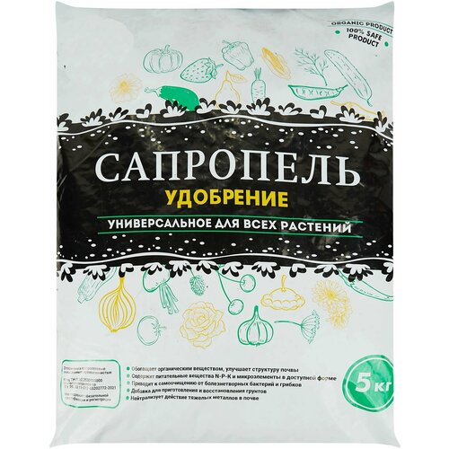 ���� ��������� 