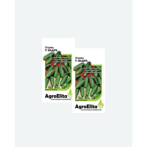     F1, 5, AgroElita, Seminis(2 )   -     , -, 