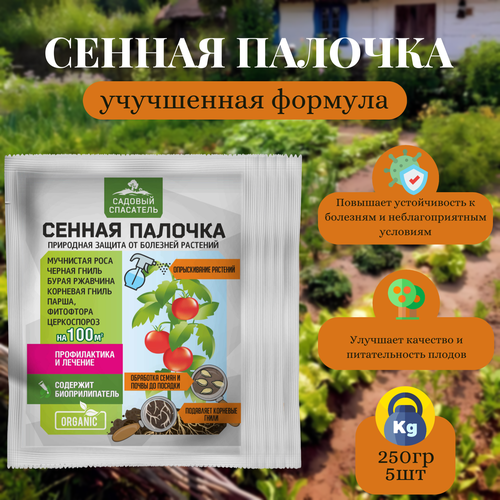 ���� ������ ������� 50�� / 5��. ������� ��������� ������ ������