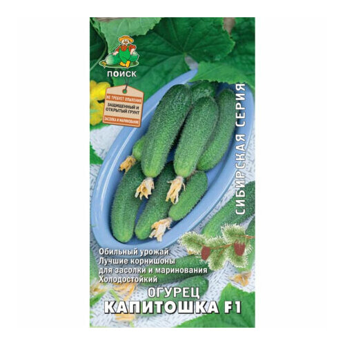 ���� ������ ������ ��������� F1 12�� ������������������ ������ (�����) ������ ������