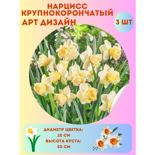 ���� ������� �� ������, ����������� �����, �������� 3 �� ������ ������