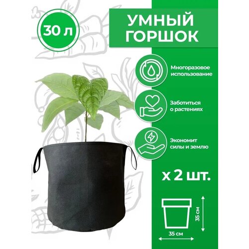    ( )     Magic Plant 30  2    -     , -, 